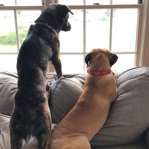 Meet your Posher, Aidan